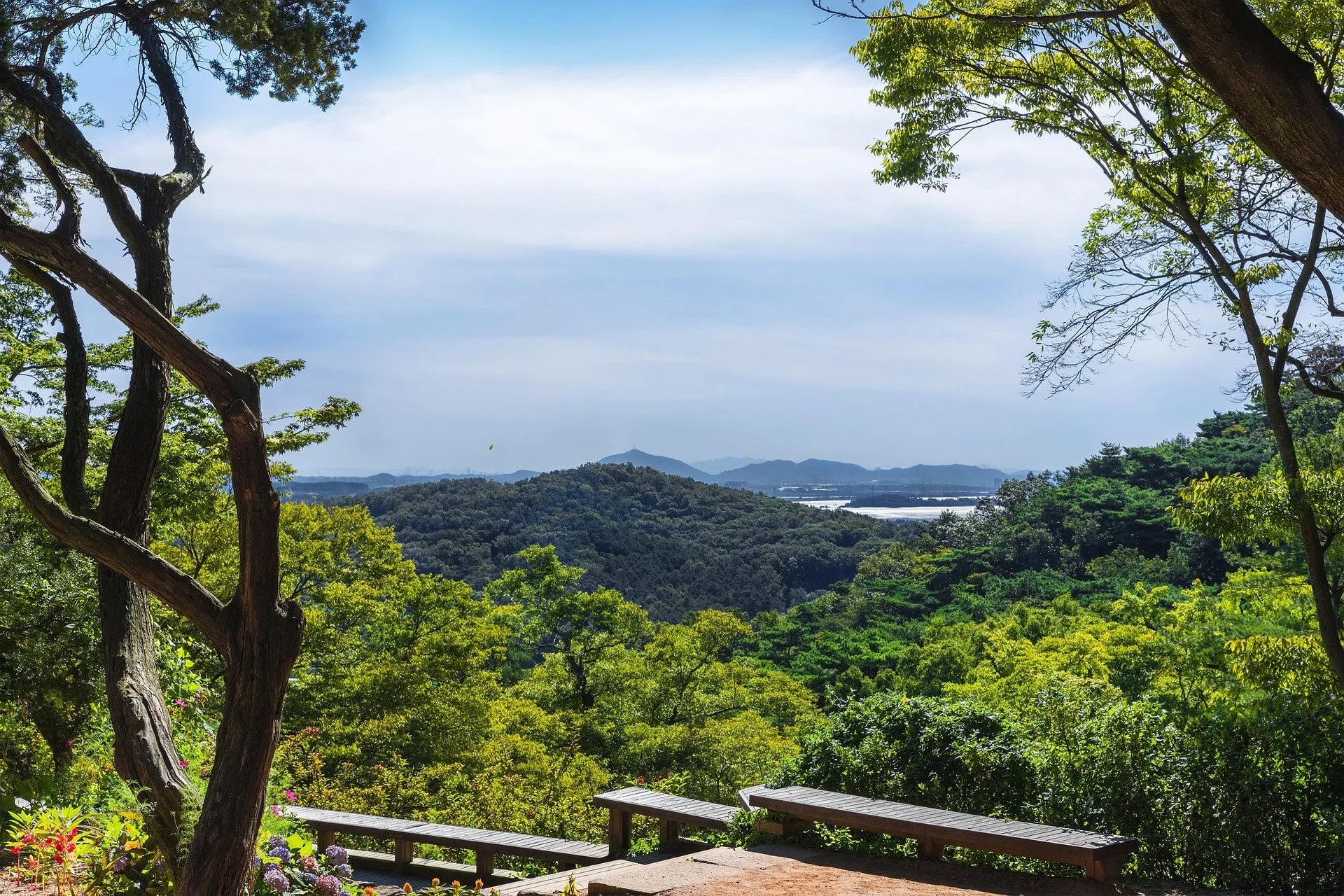 Muss ich jeden Monat SEO machen – oder reicht einmal optimieren?